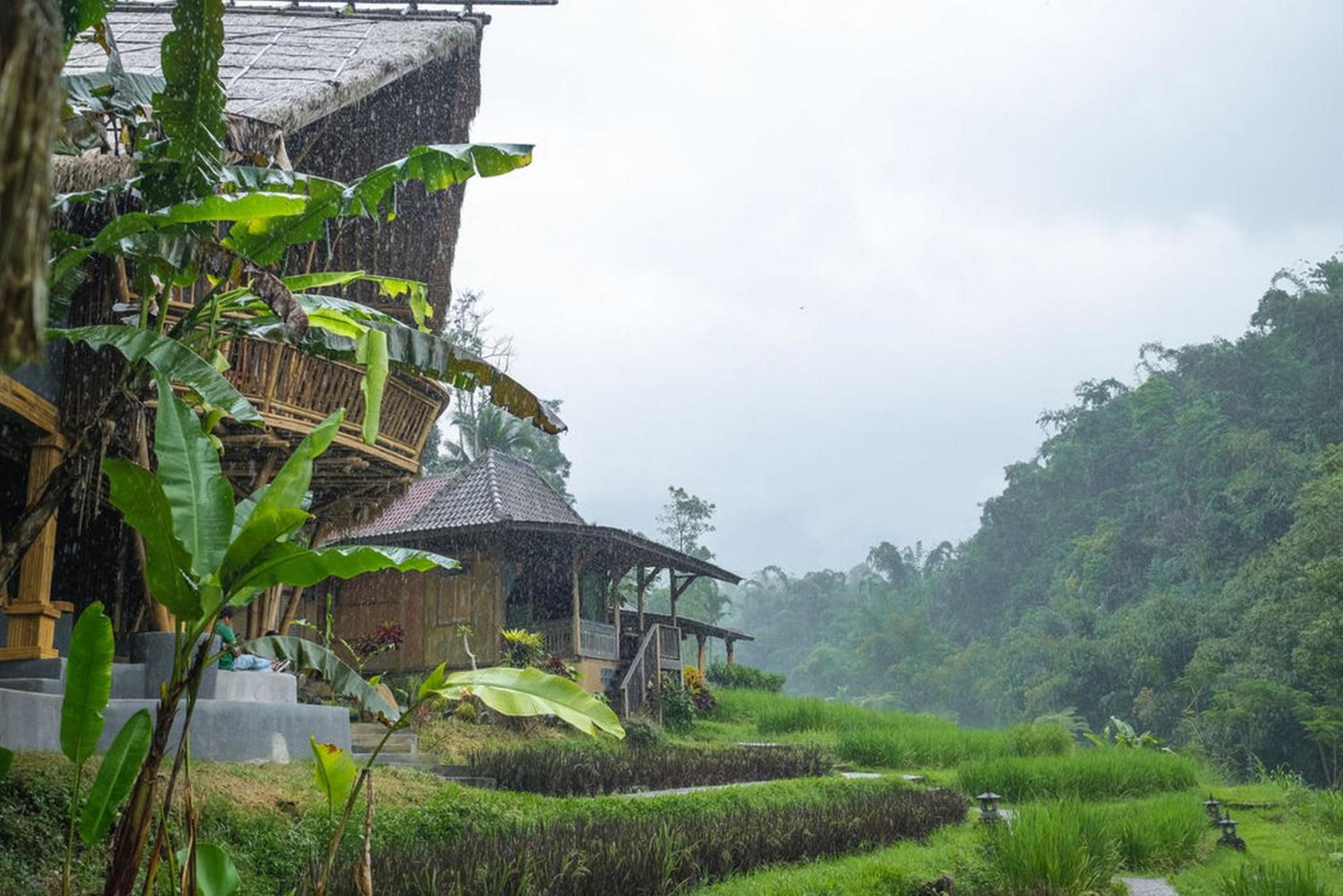 Keuma Villa & Resto Jatiluwih By The Lavana Экстерьер фото