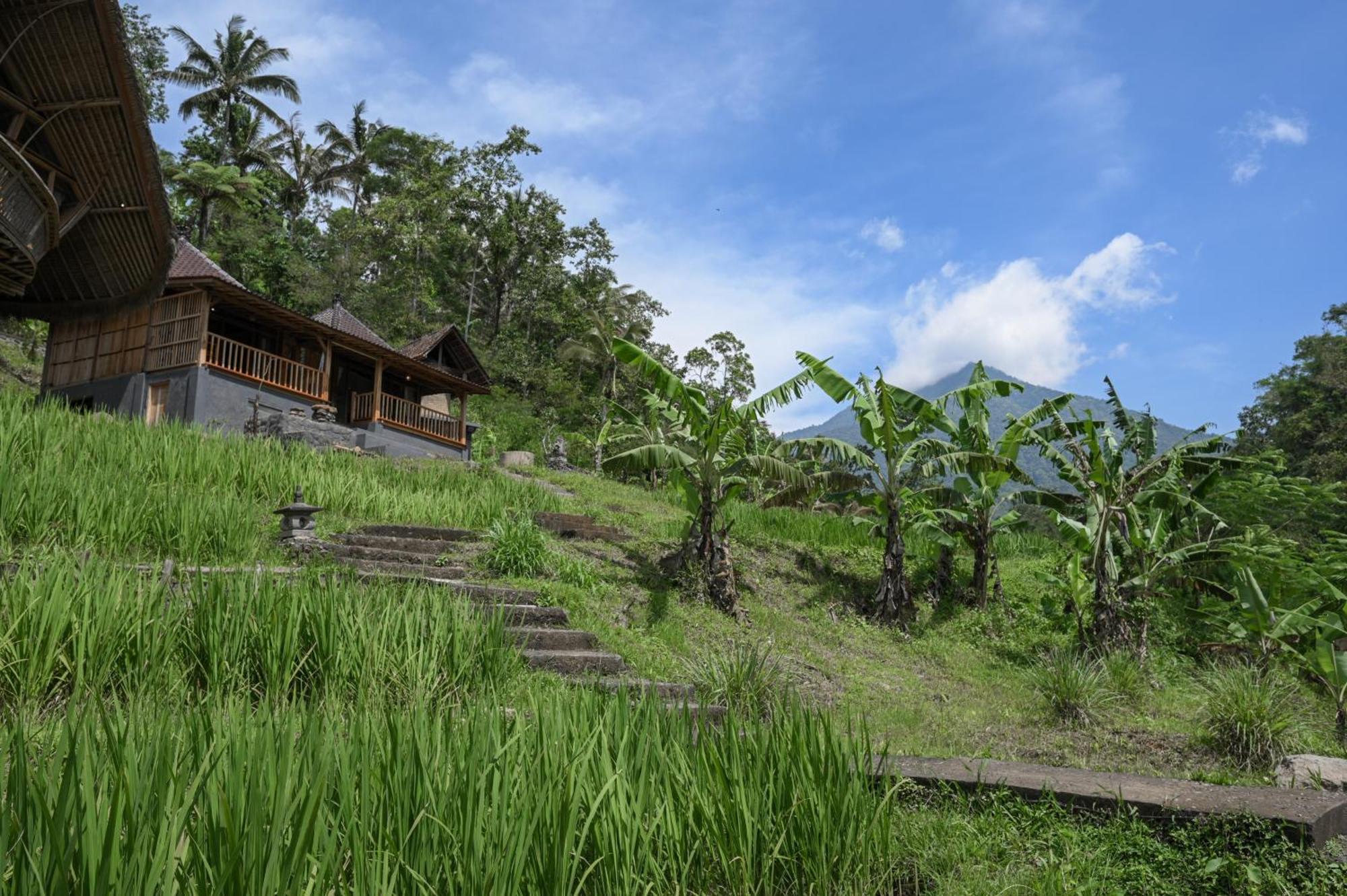 Keuma Villa & Resto Jatiluwih By The Lavana Экстерьер фото