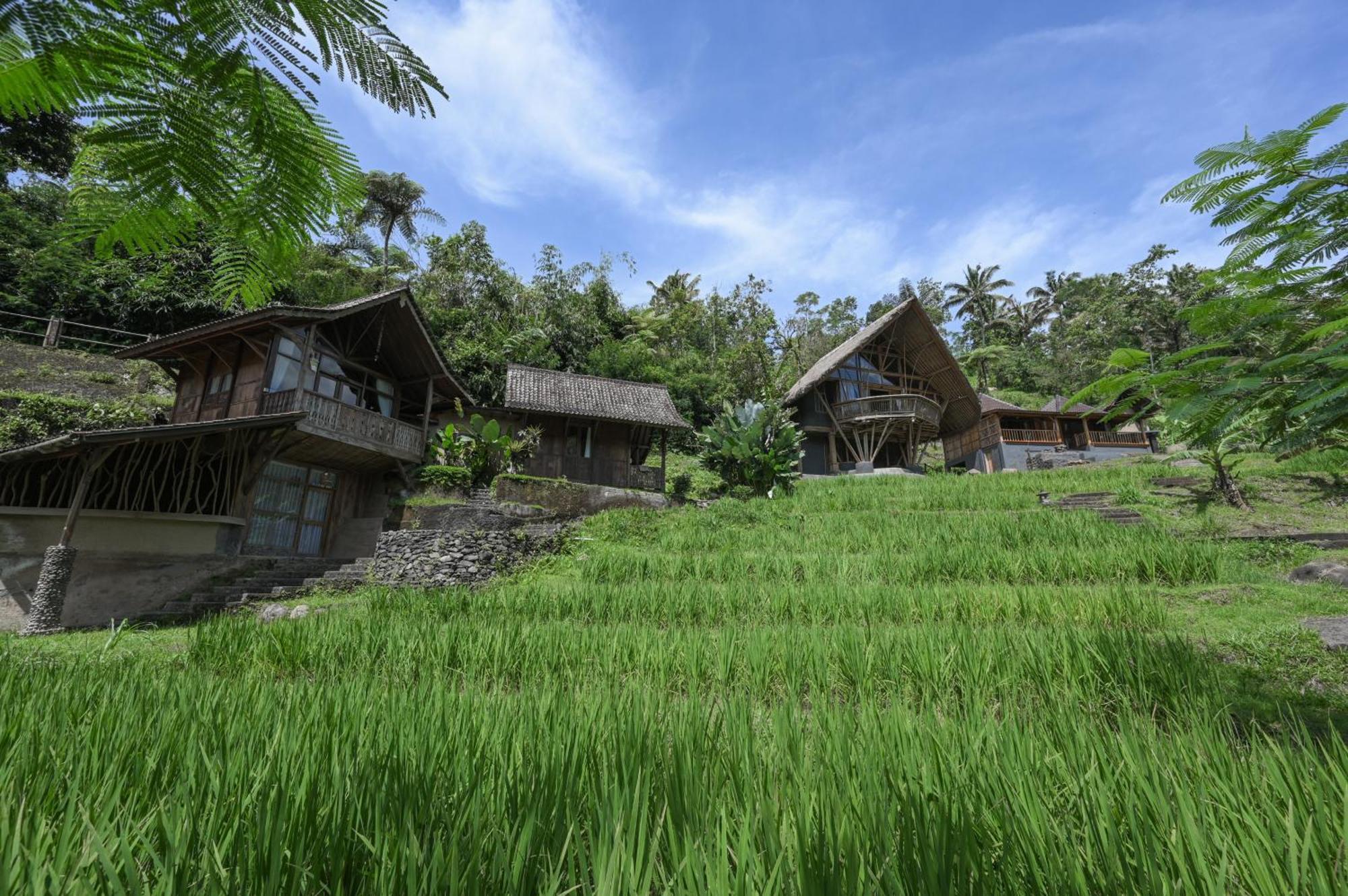 Keuma Villa & Resto Jatiluwih By The Lavana Экстерьер фото