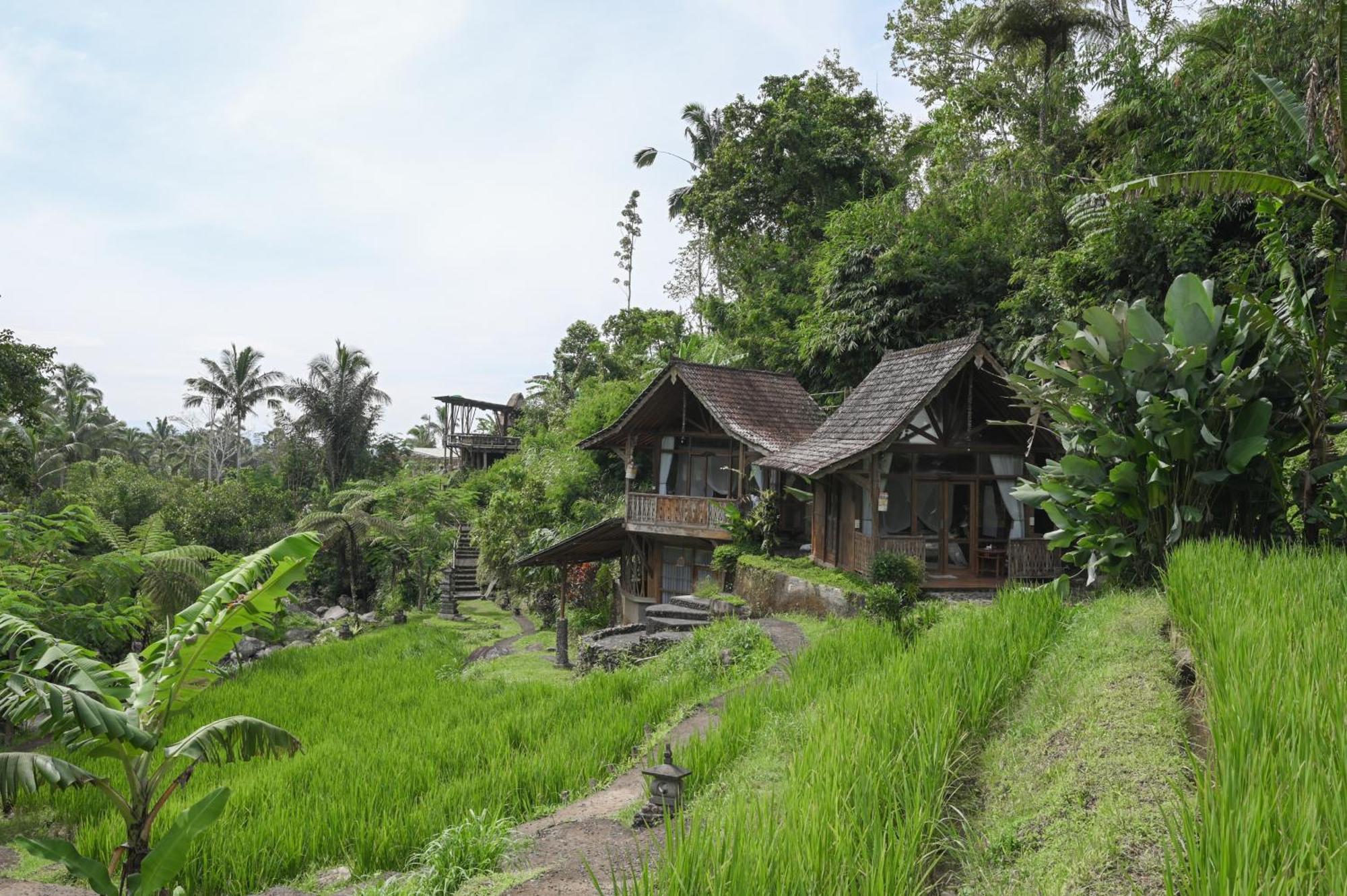 Keuma Villa & Resto Jatiluwih By The Lavana Экстерьер фото